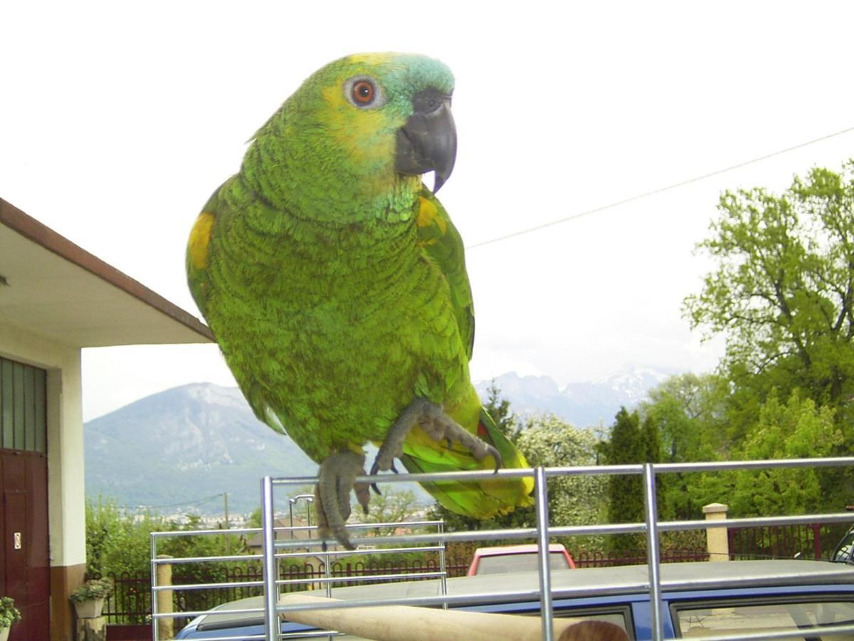 Le Paon Bleu Annecy Poisy Exterior foto